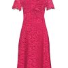 Caroline Charles Brigid Lace Dress Pink | Dresses